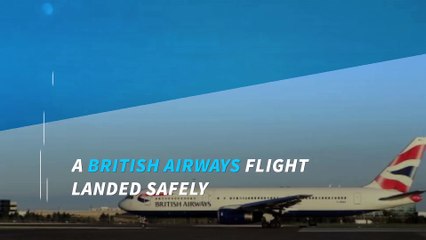 British Airways plane struck by drone before landing