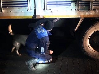 Yılın ilk uyuşturucu operasyonunda 330 kilo esrar ele geçirildi