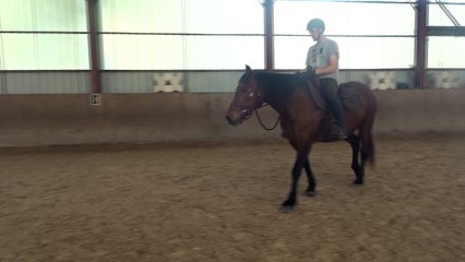 2016.04.17.tenebra.zb