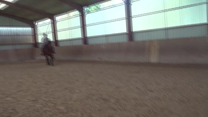 2016.04.17.tenebra.zc