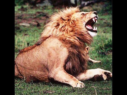 IMPRECACIÓN - POEMA DE VERANO BRISAS