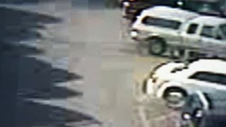 Man drives into woman trying to steal her purse