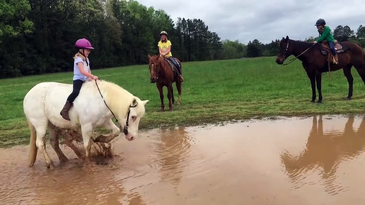 Un poney fait trempette avec une enfant sur son dos
