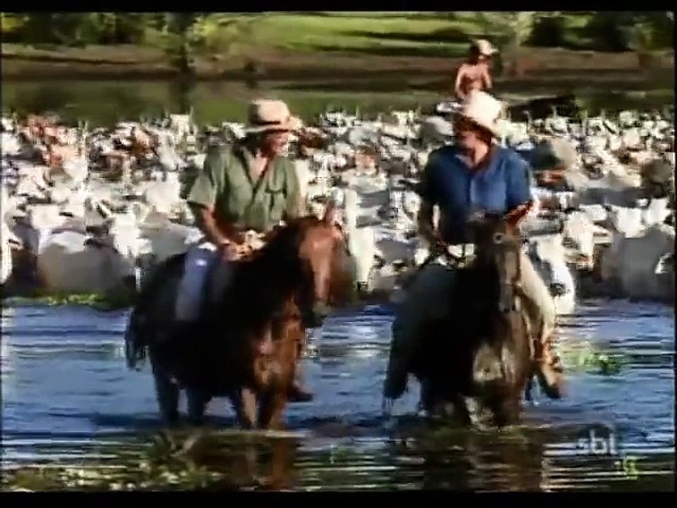 Pantanal_ Capítulo 19