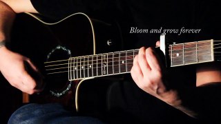 Edelweiss - Fingerstyle Guitar With Chords/Lyrics.