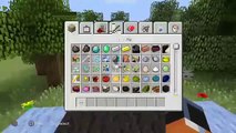 Minecraft Creations: Building Tips and Ideas