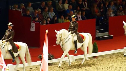 The Spanish Riding School of Vienna