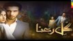 Gul E Rana Episode 5 Full HUM TV Drama 5 Dec 2015