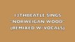 NORWEIGAN WOOD(REMIX W/VOCALS)-BEATLES COVER