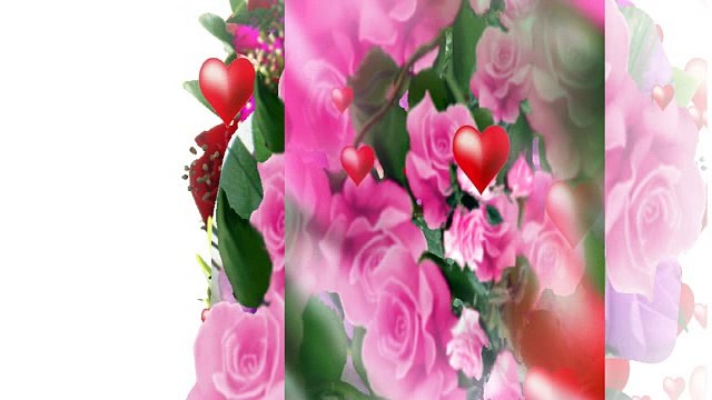 КРАСНЫЕ РОЗЫ ЛЮБВИ.