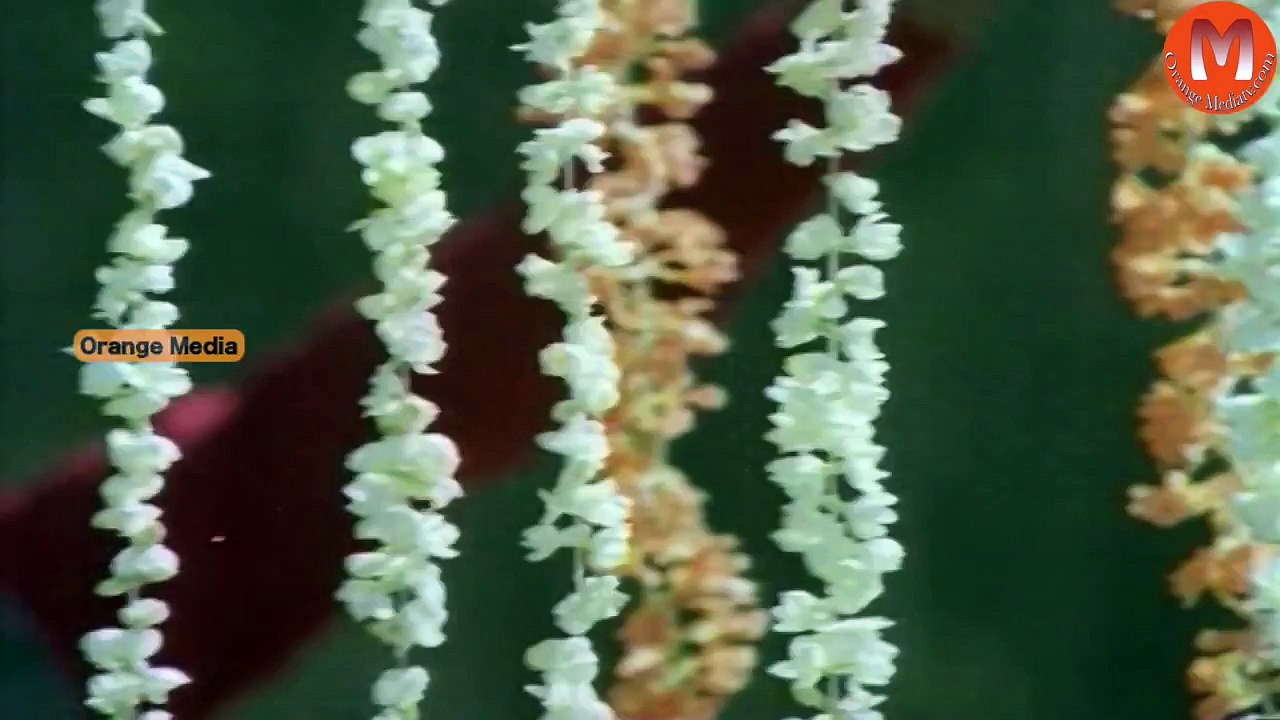 Mallapullu Gollumanavi Gundelona Video Song || Anubandham Telugu Movie