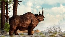 The Animals of Far Cry: Primal
