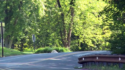 2016 Nissan Altima SL Drive and Interior