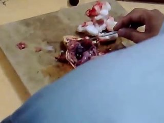 *Graphic* Frog Disection - Punjab College, Lahore, Pakistan