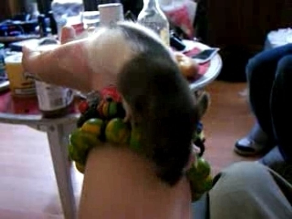 Bébé rat .