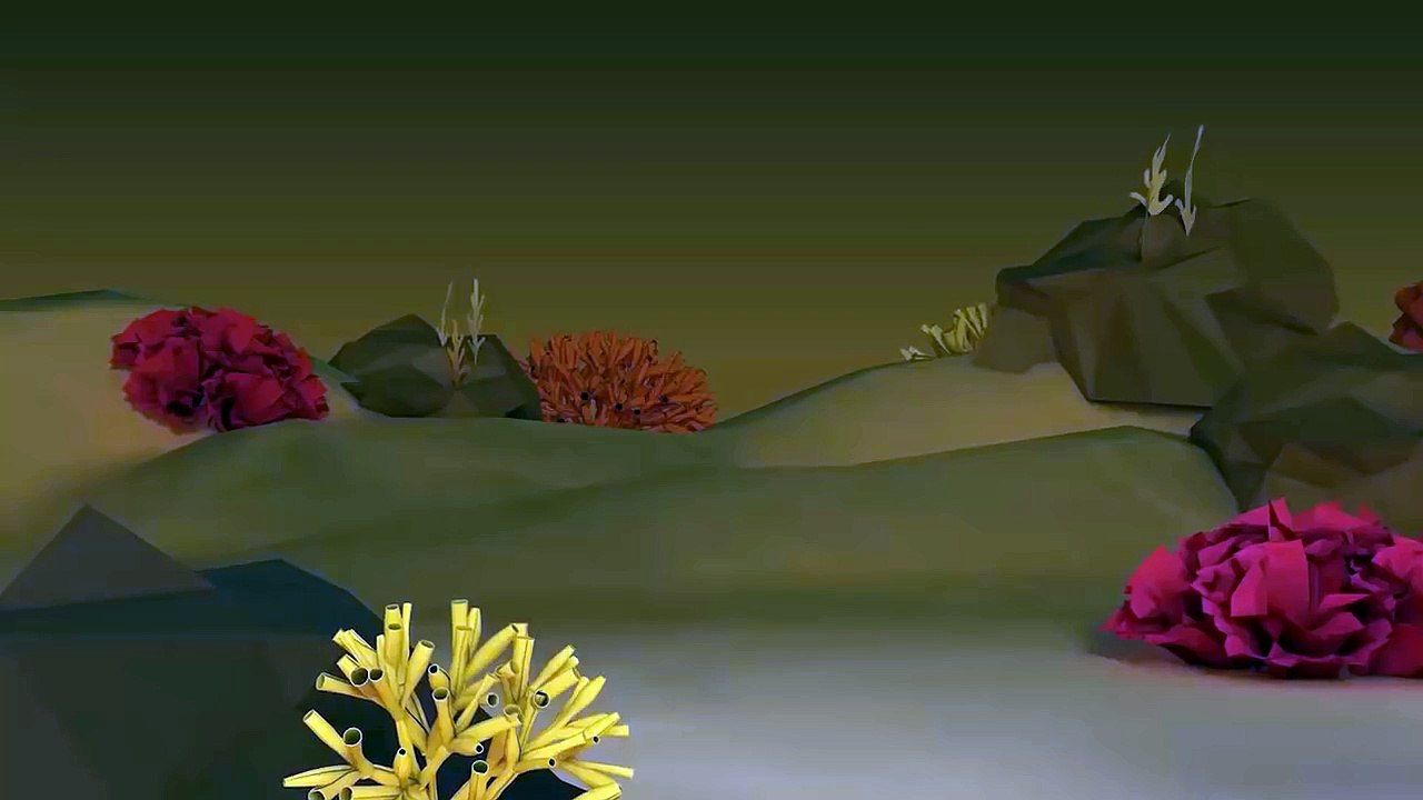 Зимнее межпрограммное оформление Акула