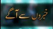 MUSHARRAF PLUNGES PAKISTAN IN CHAOS -FAROOQ HASNAT  -VOA TV