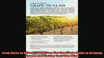READ book  From Vines to Wines 5th Edition The Complete Guide to Growing Grapes and Making Your Own READ ONLINE