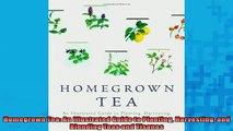 Free PDF Downlaod  Homegrown Tea An Illustrated Guide to Planting Harvesting and Blending Teas and Tisanes READ ONLINE