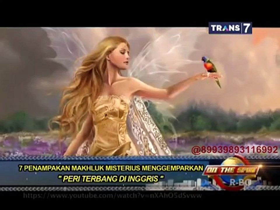On The Spot 7 Penampakan Makhluk Misterius Menggemparkan