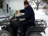 Quad Biking in the snow with my cocker spaniel