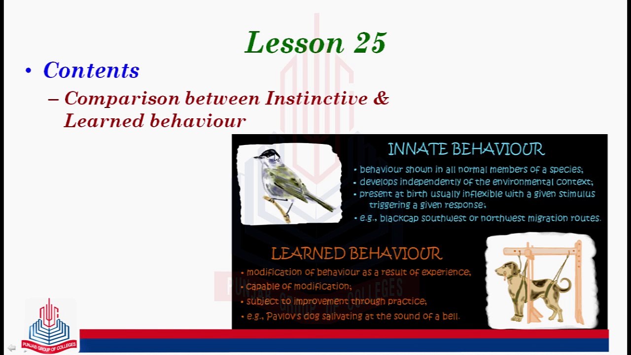 Comparison between Instinctive & Learned behaviour