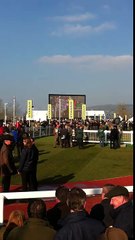 Cheltenham 2016 - Winners Enclosure - Vautour - Ryanair Chase