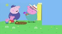 Peppa Pig English Episode 169 Peppa and Georges Garden