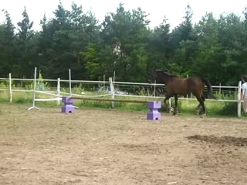 MVI_0188