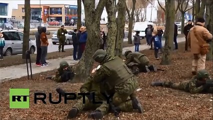 Армия Литвы против бойцов ДНР