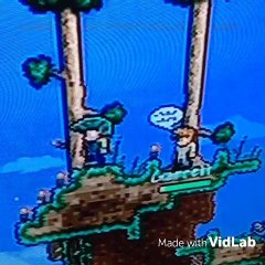 Online games-How to get rid of tombstones in Terraria