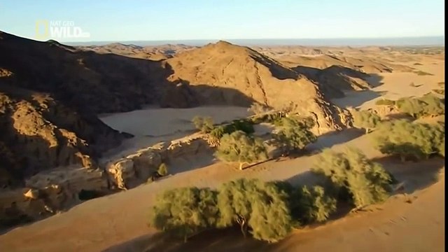 [National Geographic] Wild Namibia Africa's Dry Savannah (Wildlife Documentary)