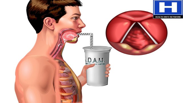 What is Cough How Coughing Works Animation