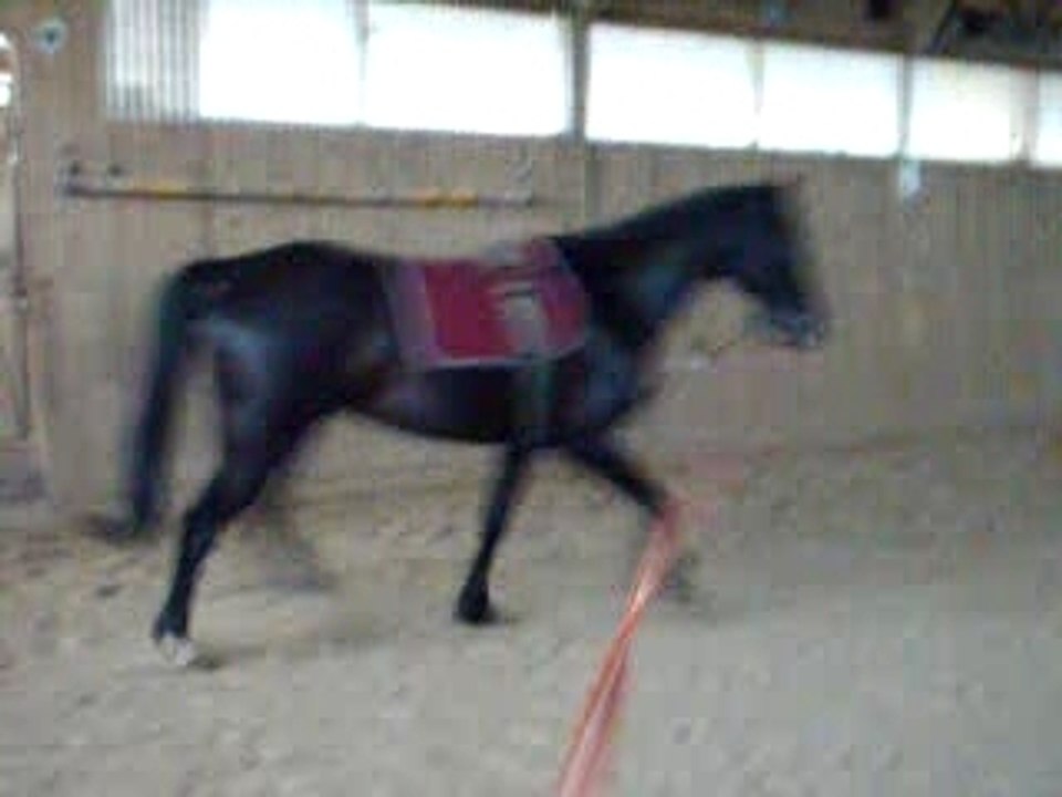 (l) LOulOu à la lOnge