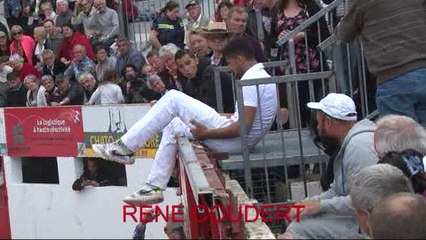 17 AVRIL 2016 CHATEAURENARD POURPIER SAUMADE