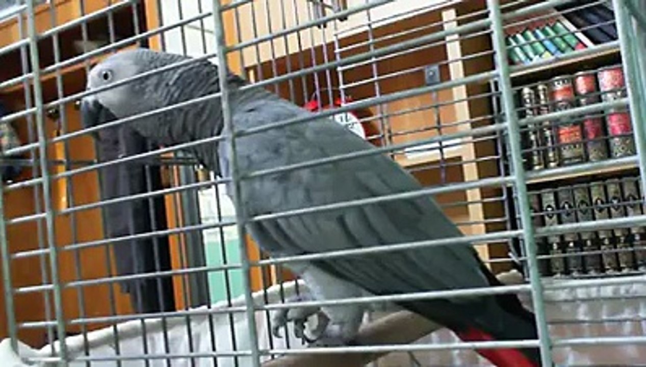 VID-20151021-WA0010
