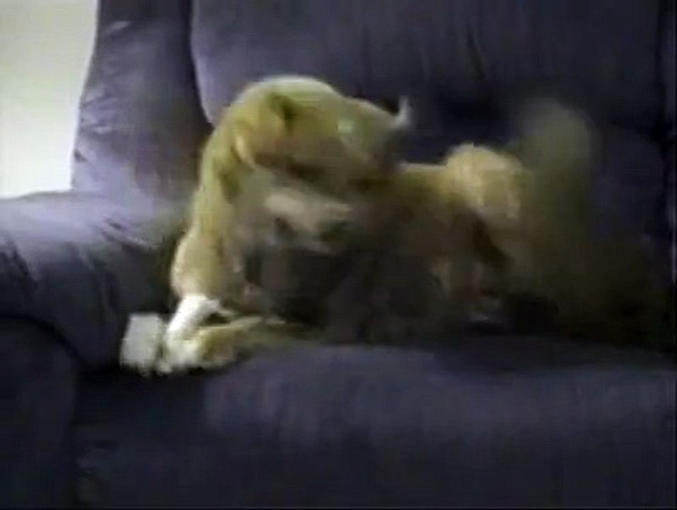 so funny must see