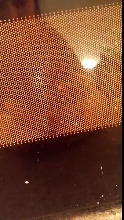 Lightbulb in a Microwave Experiment
