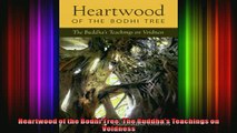 Read  Heartwood of the Bodhi Tree The Buddhas Teachings on Voidness  Full EBook