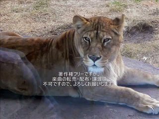大保太郎癒し＆リラックス：心がざわついている時に、落ち着くための動画大保太郎
