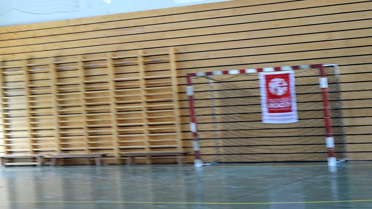 Assemblée générale 2015 - Démonstration aéromodélisme 1