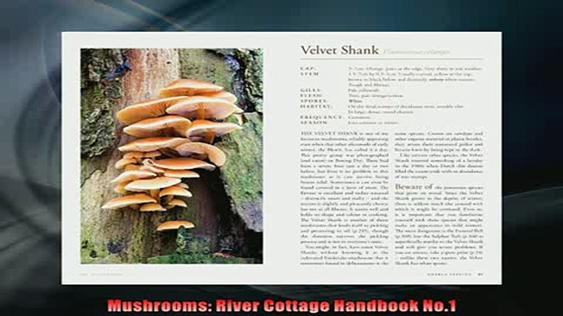 Free Download Mushrooms River Cottage Handbook No1 Read Online