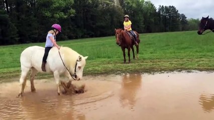 Suyu görünce dayanamayıp suya yatan sevimli at