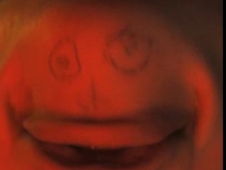 je te fais des bisous