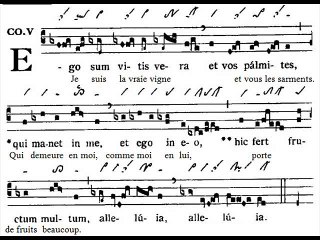 Communio Ego sum vitis, Dominica V Paschae (5è dimanche du T. Pascal)