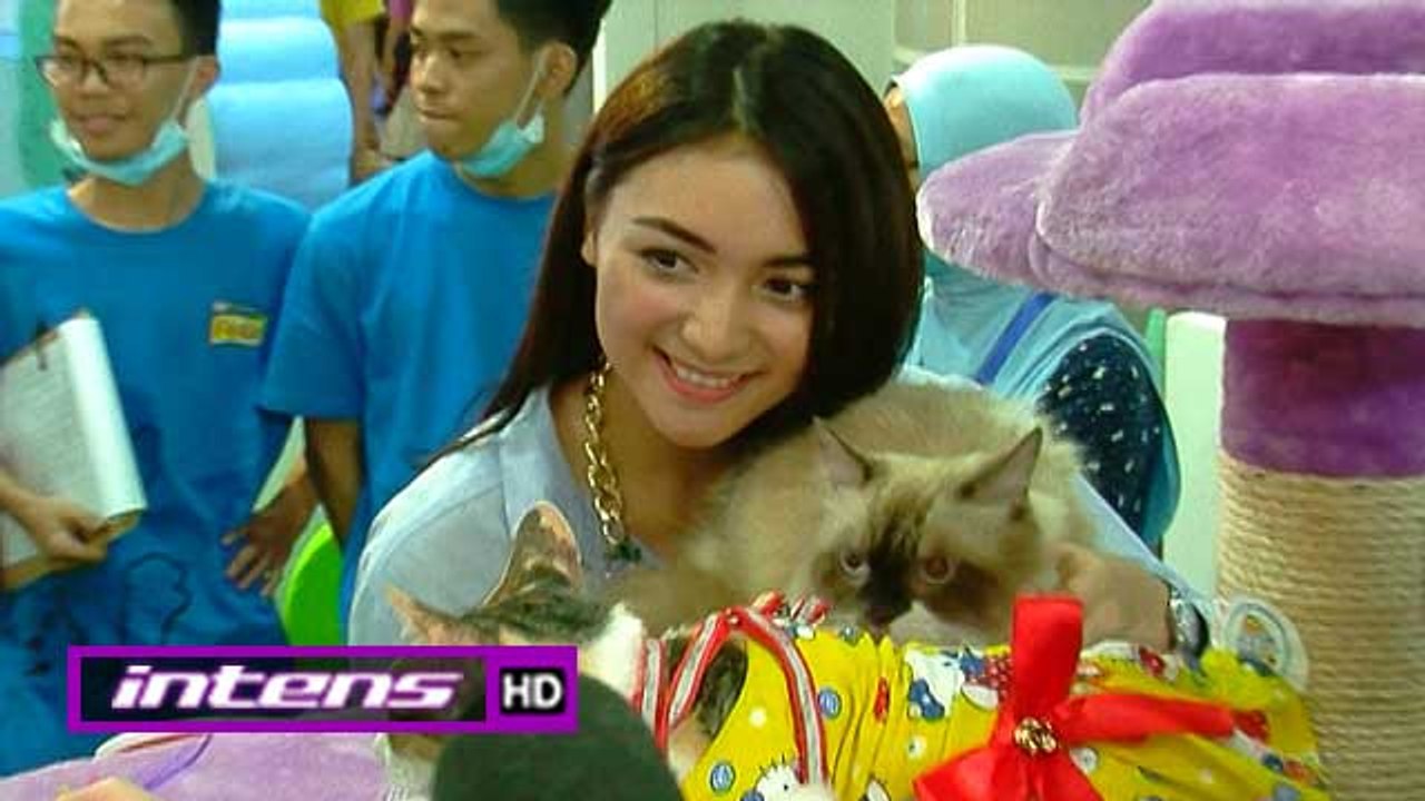 Citra Kirana dengan Kucing Kesayangan - Intens 18 April 2016