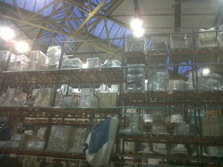 Bentoche-The way the laws are voted (1)