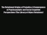 [Read book] The Relational Origins of Prejudice: A Convergence of Psychoanalytic and Social