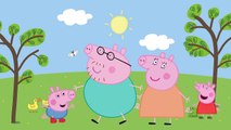 Peppa Pig La Família dos Dedos em Português  Finger Family in Portuguese