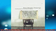 Free PDF Downlaod  Brice Marden Drawings Whitney Museum of American Art Books  BOOK ONLINE